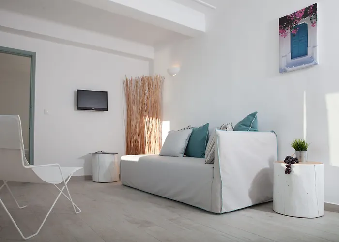 酒店 Tagoo Black Mykonos